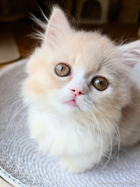 長谷部ユウブリーダーのブログ：2025年9月もありがとうございました♡