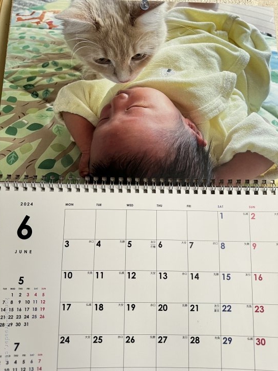 藤原富美栄ブリーダーのブログ：うーたんスクスク成長中💖