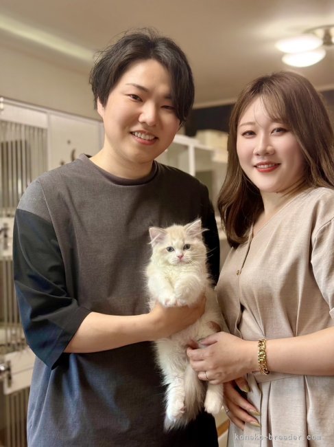 西則ウノブリーダーのブログ：お客様が猫を迎える素晴らしい瞬間❣️ この出会いに、運命を感じた日🐣