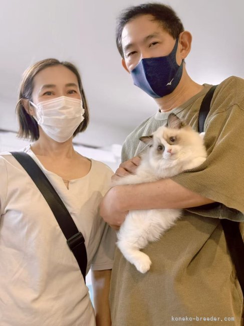 西則ウノブリーダーのブログ：お客様が猫を迎える素晴らしい瞬間❣️ この出会いに、運命を感じた日🐣
