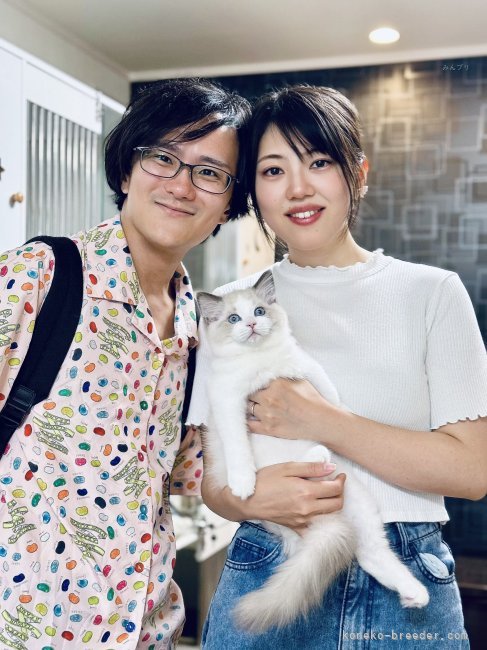 西則ウノブリーダーのブログ：お客様が猫を迎える素晴らしい瞬間❣️ この出会いに、運命を感じた日🐣