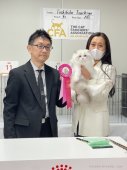 ラグドール【・男の子・2023年8月26日・ブルーリンクスポイントバイカラー】