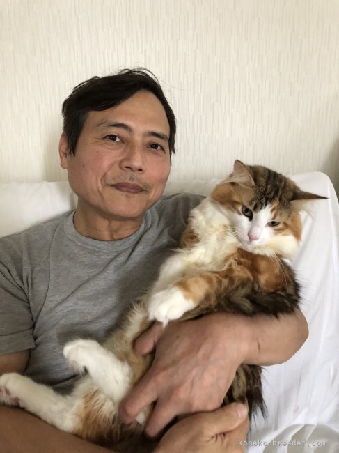 山本　繁一(やまもと　しげいち)ブリーダー(千葉県・ブリティッシュショートヘアなど・ICC/ACC登録)の紹介写真1