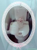 ラグドール【・男の子・2015年8月22日・レッドポイント】「冬になるとトイレの上が暖かくて大好き」