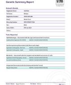 メインクーン【・男の子・2021年1月29日・ブラックシルバークラシックタビー&ホワイト】「遺伝子検査結果」