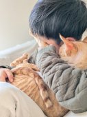 デボンレックス【・男の子・2024年4月7日・レッドクラッシックタビー】