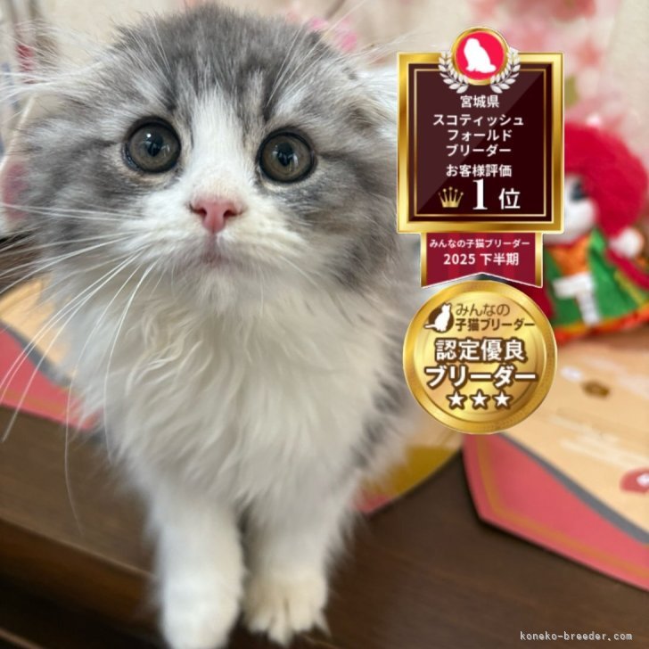 ブリーダー画像