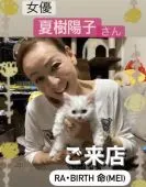 セルカークレックス【東京都・男の子・2021年8月1日・ホワイト】の写真4「女優さんがきたょ」