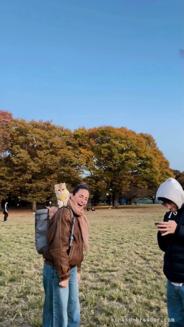 趙彤ブリーダー