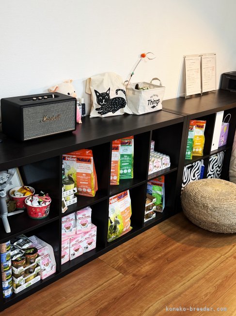 趙　彤(ちょう　とう)ブリーダー(埼玉県・ブリティッシュショートヘアなど・ICC登録)の紹介写真4