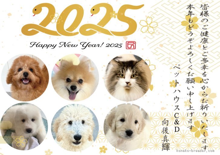 向後真輝ブリーダーのブログ：あけましておめでとうございます🎍