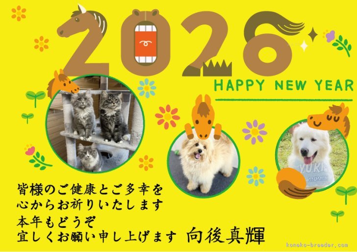 向後真輝ブリーダーのブログ：あけましておめでとうございます🎍