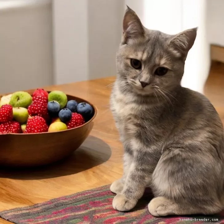 ID：2405-01969の子猫