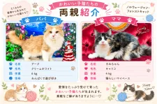 ノルウェージャンフォレストキャット【宮城県・男の子・2026年8月2日・ホワイト系/クリーム系】の写真2