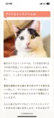 ミヌエット(長足)【大阪府・男の子・2025年3月30日・ブルータビー&ホワイト】の写真10
