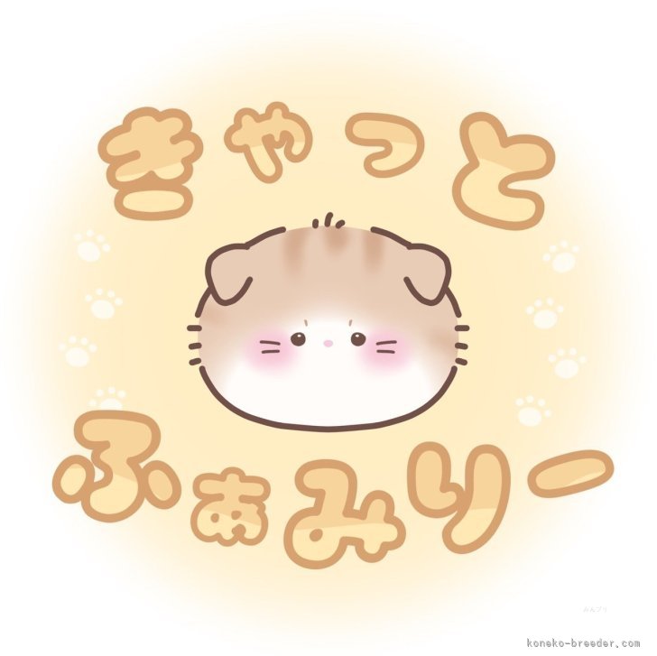 大濱慶太ブリーダー