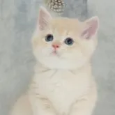 ブリティッシュショートヘア