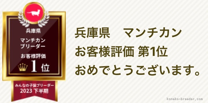 前野真由美ブリーダーのブログ：🙇‍♀️心からの感謝の気持ちを込めて🙇‍♀️