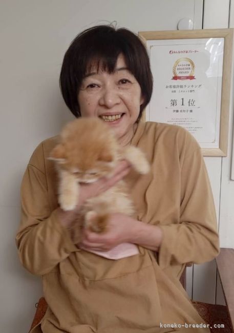 性格が穏やかで人懐っこいと飼い主さんに喜ばれています｜伊藤　美知子(いとう　みちこ)ブリーダー(福島県・ミヌエットなど・ICC登録)の紹介写真1