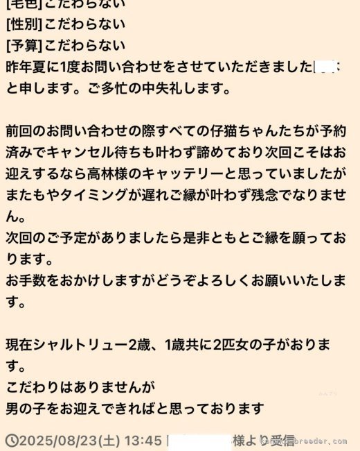 高林弥生ブリーダーのブログ：光栄なお問い合わせ✨