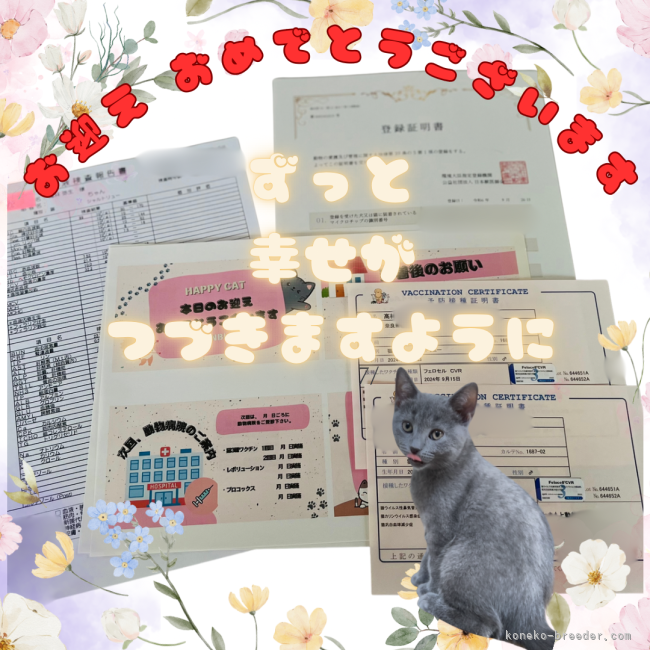 高林弥生ブリーダーのブログ：イケメン王子👑グリちゃん🚗出発✨