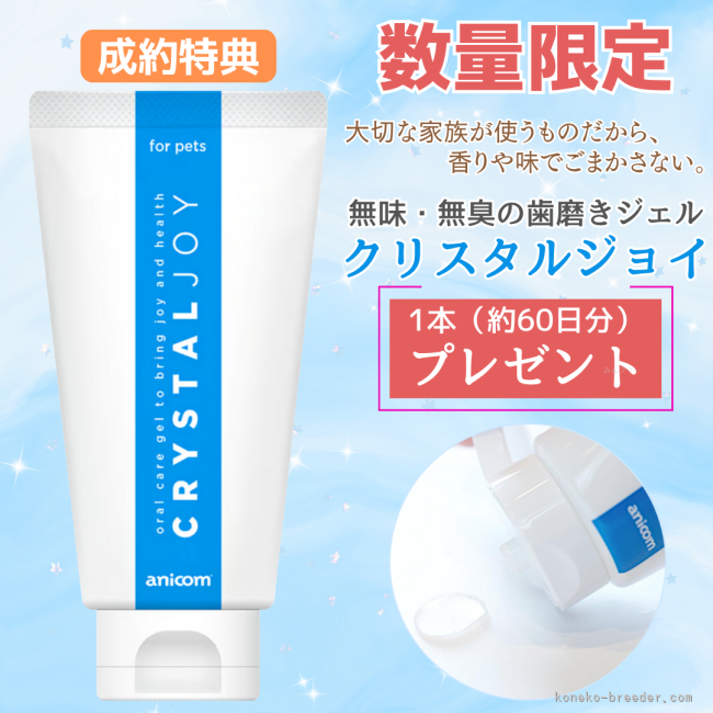 歯みがきを習慣にして、健康寿命アップ！今なら歯磨きジェル1本プレゼント✨️｜時田　陽平(ときた　ようへい)ブリーダー(千葉県・アメリカンショートヘアなど・PCC登録)の紹介写真9