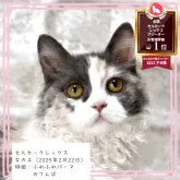 セルカークレックス