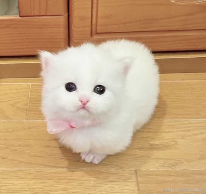 Wfuyluubth8nnm