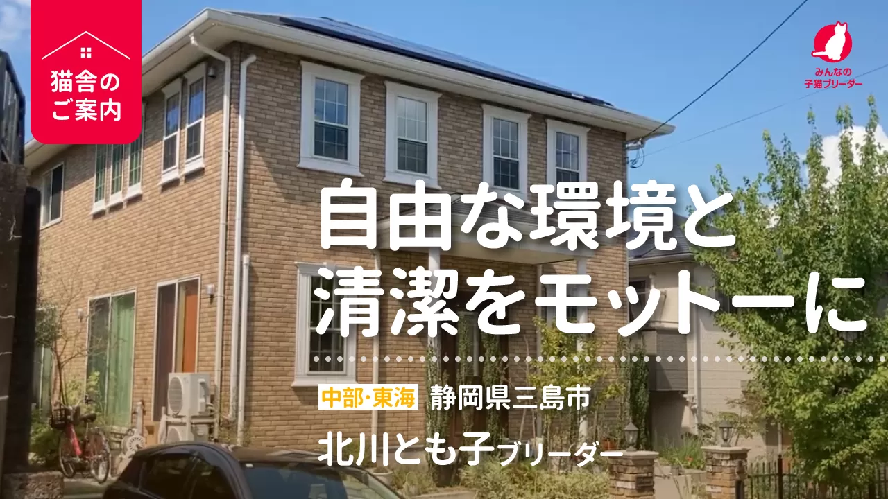 ブリーダー紹介動画