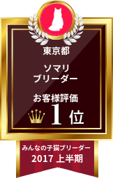 フミフミ 我が家のソマリたち Powered By Line