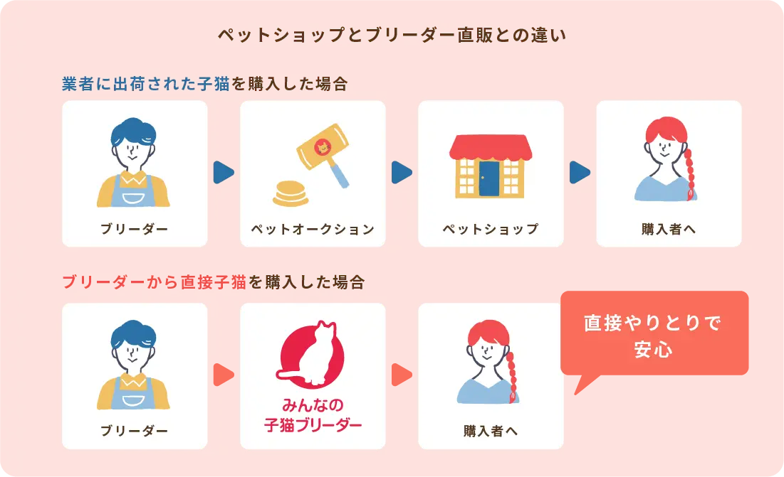 ペットショップとブリーダー直販の違い