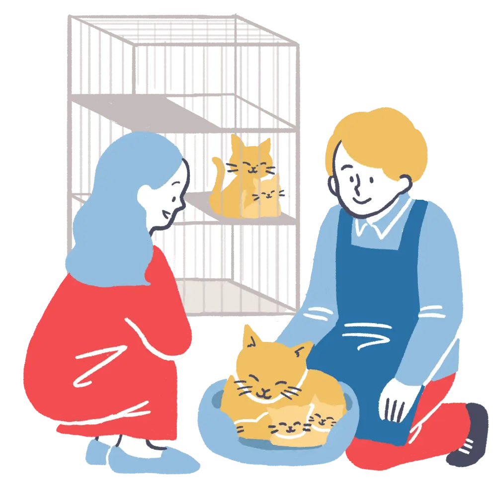 ブリーダーさんの猫舎で直接お迎え
