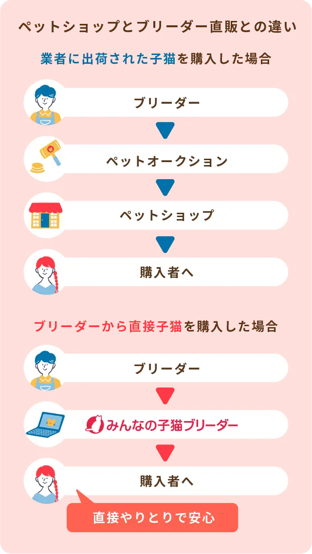 ペットショップとブリーダー直販の違い