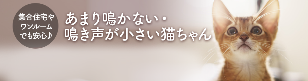 集合住宅でも安心