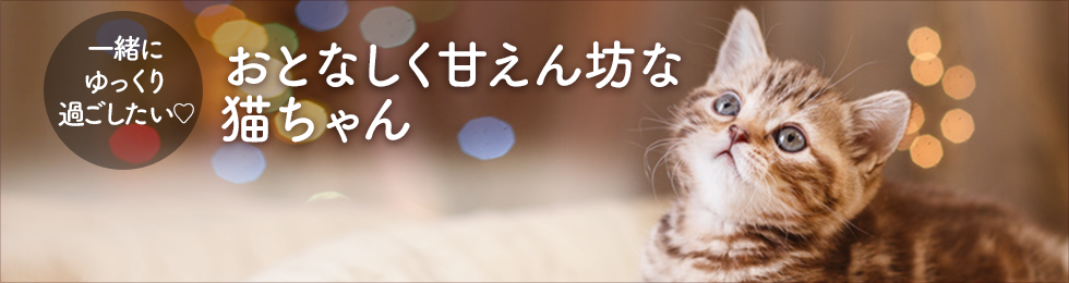 おとなしい 猫 の 種類