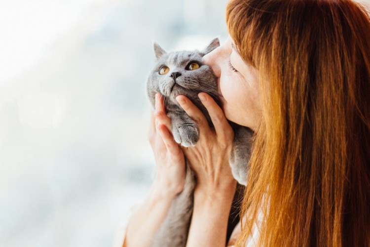 猫にキスする女性