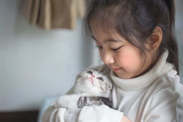 子どもに抱っこされる猫