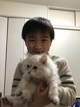 tomo 様のお迎えした子猫