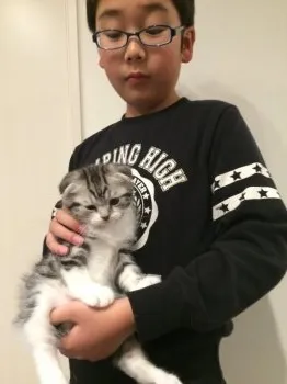 江藤 様のお迎えした子猫