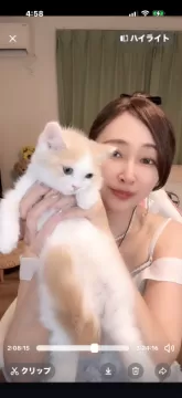 愛知】清 洋一(せい よういち)ブリーダー｜みんなの子猫ブリーダー