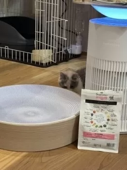 73 様のお迎えした子猫