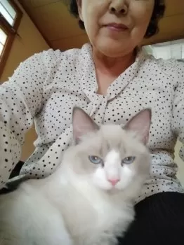 ミッシェル 様のお迎えした子猫
