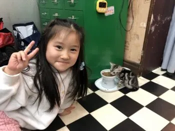 S.S 様のお迎えした子猫