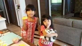 スコちゃん♥ 様のお迎えした子猫