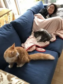 machan 様のお迎えした子猫