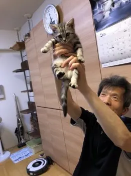 ふみふみ 様のお迎えした子猫
