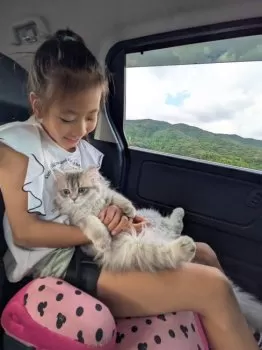 のあママ 様のお迎えした子猫