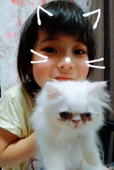 レイン 様のお迎えした子猫