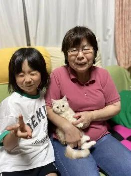 Keitoraojisan 様のお迎えした子猫