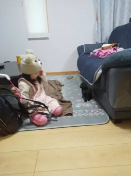 納豆ご飯 様のお迎えした子猫